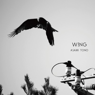 Wingのジャケット写真