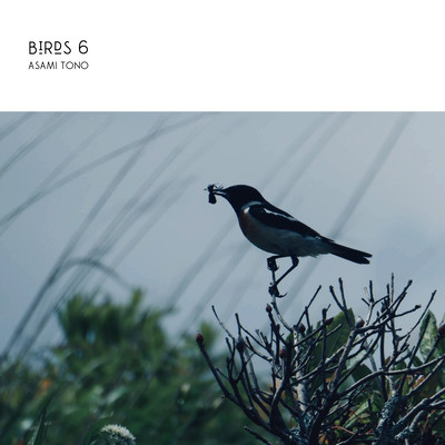 Birds 6のジャケット写真