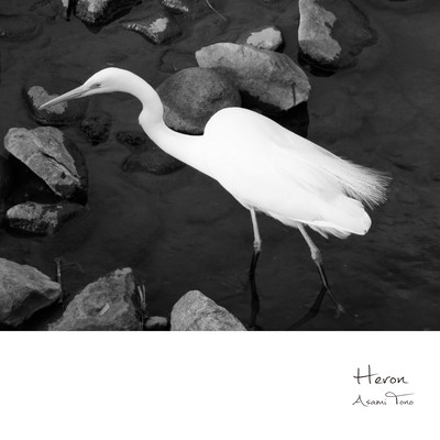 Heron Front Cover