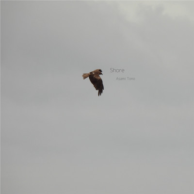 Shore Front Cover