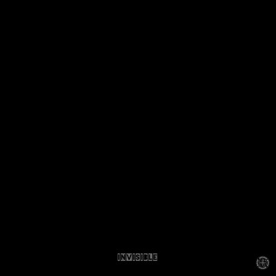 Invisibleのジャケット写真