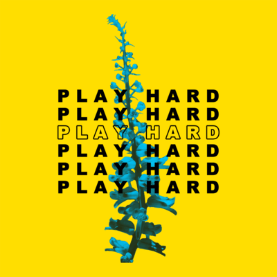 PLAYHARD Front Cover