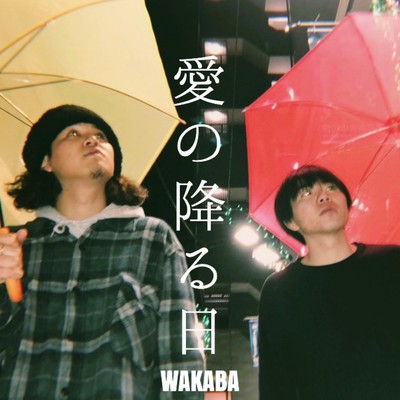 愛の降る日のジャケット写真