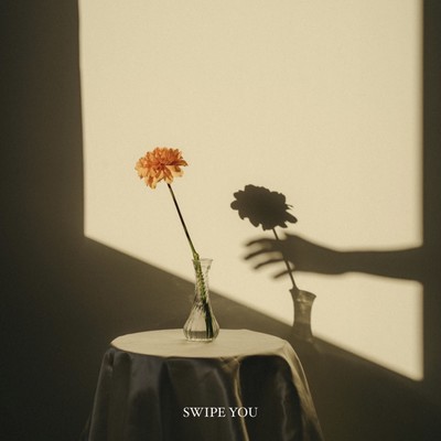 SWIPE YOU Front Cover