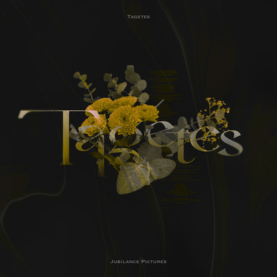 Tagetes Front Cover
