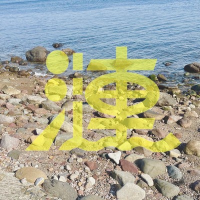 Sazanami Front Cover