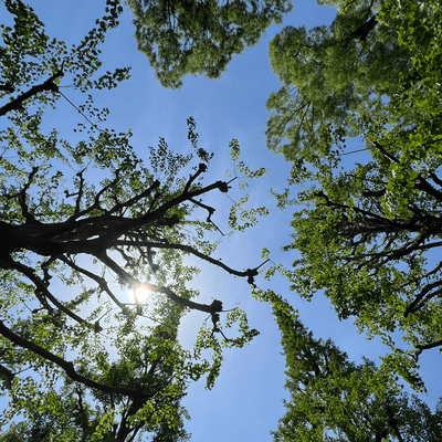 Seasonsのジャケット写真