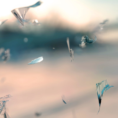 SIINAのジャケット写真