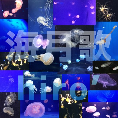 Jellyfish Song Front Cover