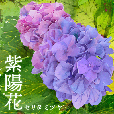 Hydrangea Front Cover