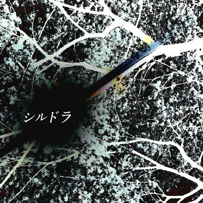 see me for you / Fiction / Show offのジャケット写真