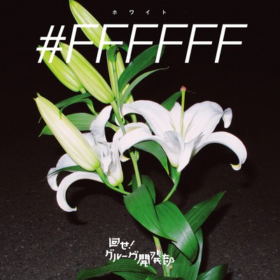 #FFFFFF Front Cover