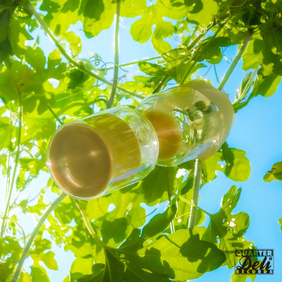 TOKI NO TAKARA Front Cover