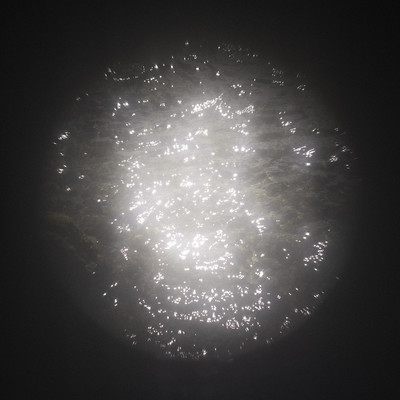 moonlight Front Cover