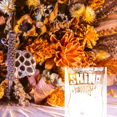 humanityのジャケット写真