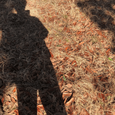 14のジャケット写真