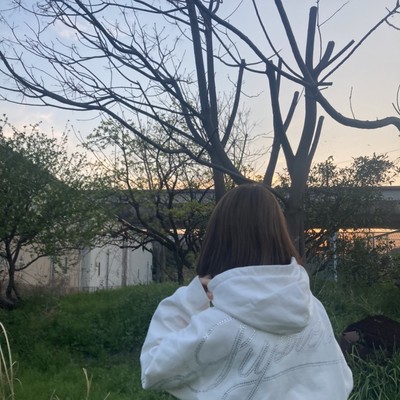 Never Goes Out Front Cover