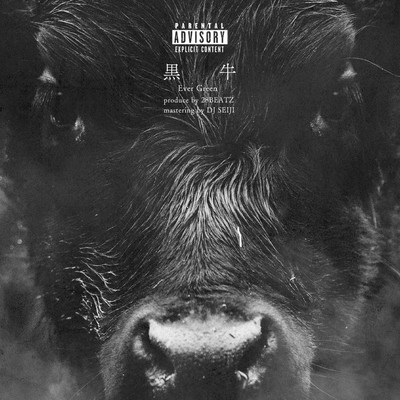 黒牛のジャケット写真