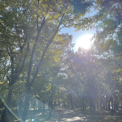 Boku Liar. Front Cover