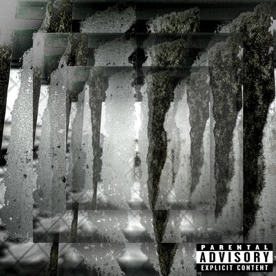 living wil. Front Cover