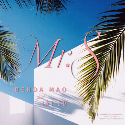 Mr.S (feat. JAY'ED) Front Cover