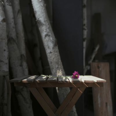 秋桜を添えてのジャケット写真