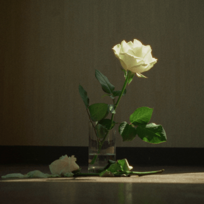 To the Depths of the Rose Front Cover