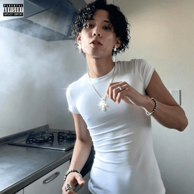 cook Front Cover