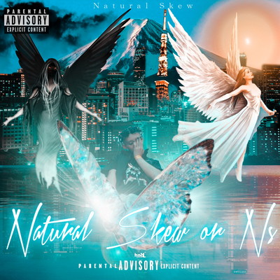 Natural Skew or Ns Front Cover