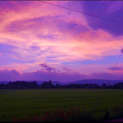 Denki kesuhano kiminohoneha sirokatta (feat. Ai) Front Cover