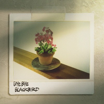 Bye Bye Blackbird (feat. Miru Shinoda) Front Cover