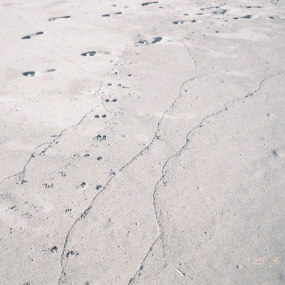 海は幻 (Remastered2026)のジャケット写真