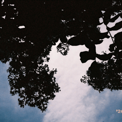 AWARE (2026 Remastered) Front Cover