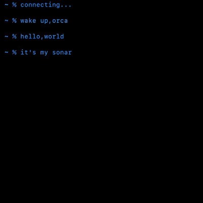 Sonarのジャケット写真