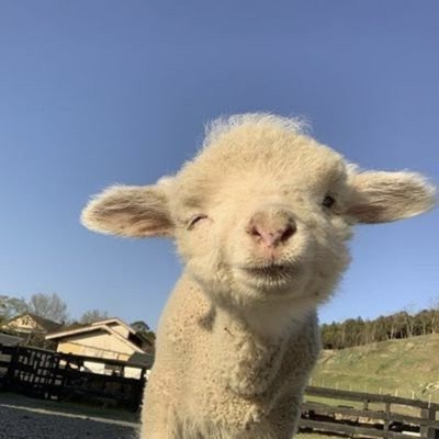 sunriseのジャケット写真