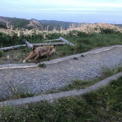 RoofTopのジャケット写真