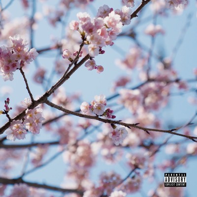 Stay alive (feat. SHOKI) Front Cover