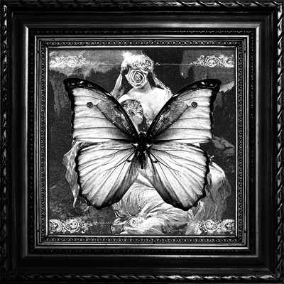 Wings of craving Front Cover