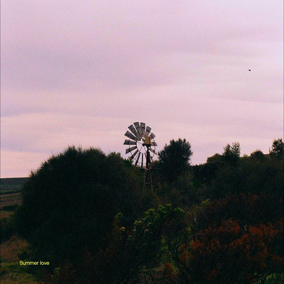Summer loveのジャケット写真