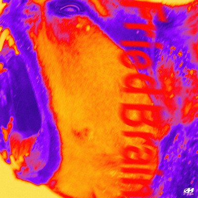 Fried Brainのジャケット写真