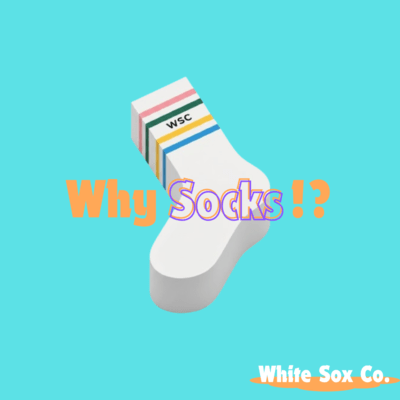 Why Socks!? Front Cover