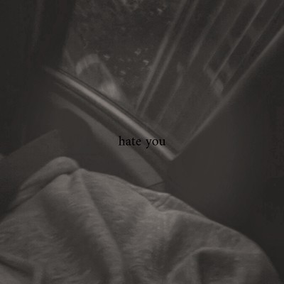 hate youのジャケット写真