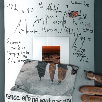 Meltdown of Chuupachaps & rhiZome Front Cover