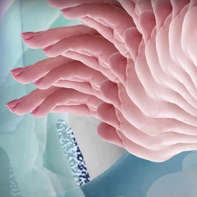 tewokazaseのジャケット写真