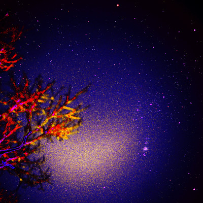 "Nebosuke no mita nagareboshi" a closed live act vol.2 Front Cover