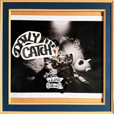 Daily Catch Front Cover