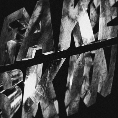 Fake skin Front Cover