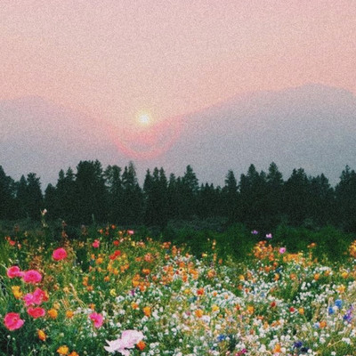 Internet & Ego (feat. KAFU) Front Cover