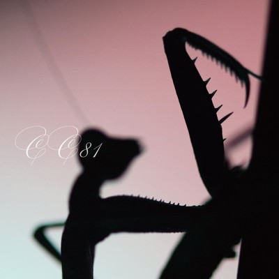 ピンクのジャケット写真