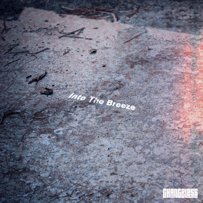 Into The Breeze Front Cover